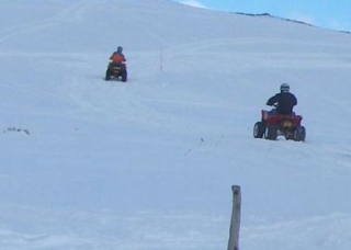  Quads in the snow 